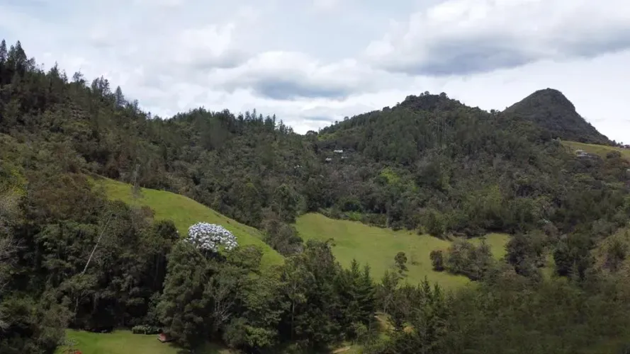Lote en venta en Pontezuela, Rionegro, 32000 m² · foto 4 de 11