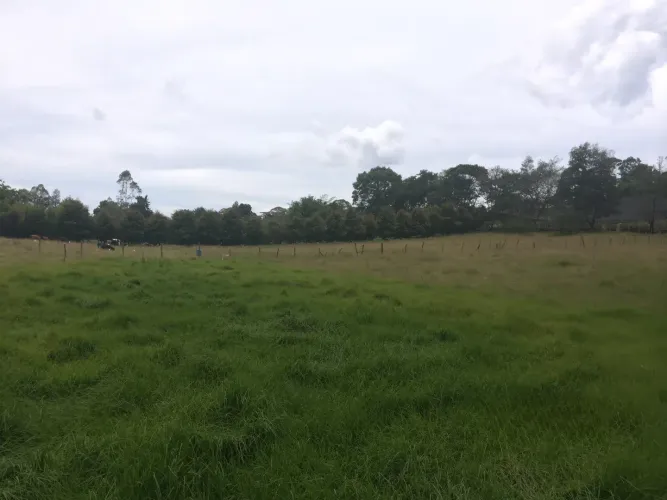 Lote en venta en Vilachuaga, Rionegro, 11500 m² · foto 11 de 12