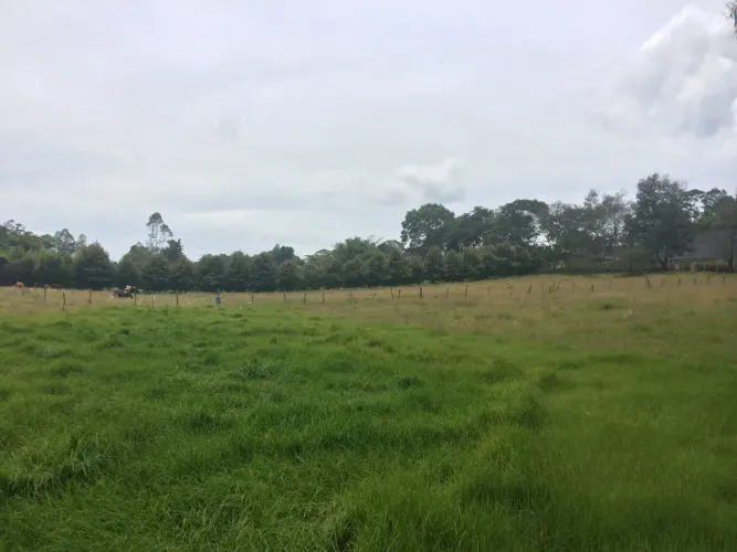 Lote en venta en Vilachuaga, Rionegro, 11500 m² · foto 12 de 12
