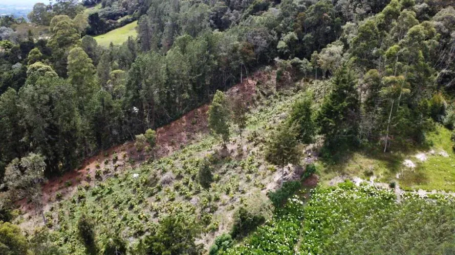 Lote en venta en Pontezuela, Rionegro, 32000 m² · foto 6 de 11