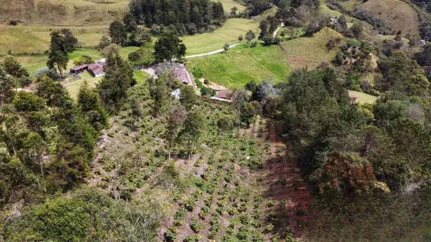 Lote en venta en Pontezuela, Rionegro, 32000 m² · foto 8 de 11