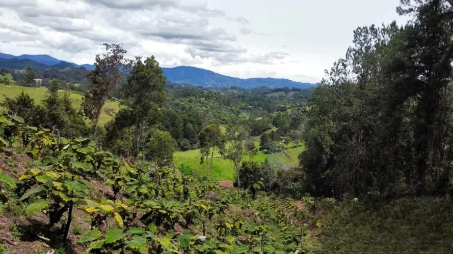 Lote en venta en Pontezuela, Rionegro, 32000 m² · foto 9 de 11