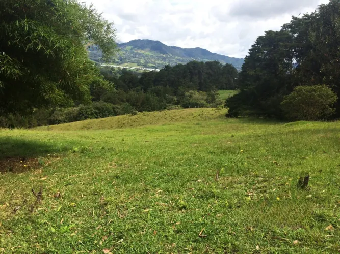 Lote en venta en El Capiro, Rionegro, 30000 m² · foto 2 de 14