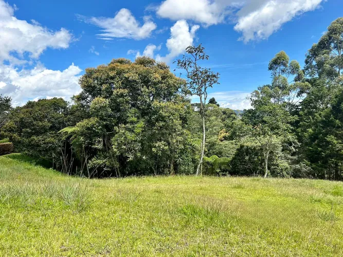 Lote en venta en Quirama, El Carmen de Viboral, 3479 m² · foto 12 de 12