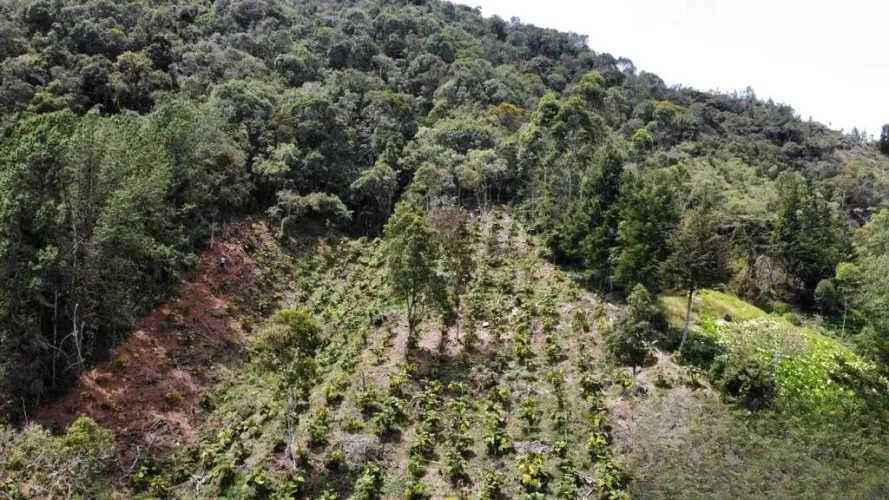 Lote en venta en Pontezuela, Rionegro, 32000 m² · foto 11 de 11