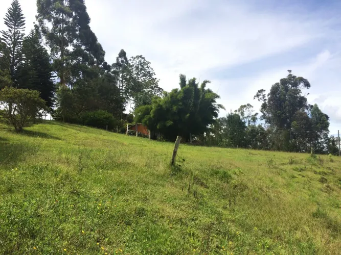 Lote en venta en El Capiro, Rionegro, 30000 m² · foto 5 de 14