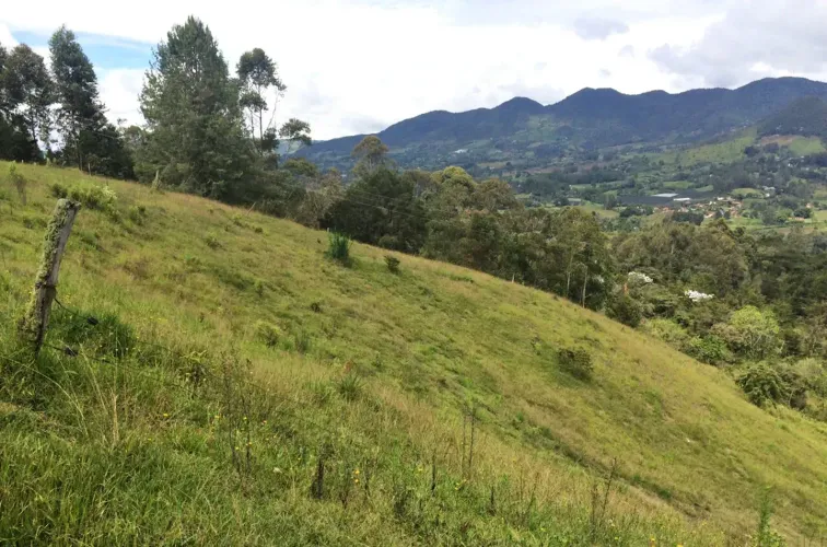 Lote en venta en El Capiro, Rionegro, 30000 m² · foto 6 de 14