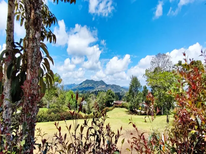 Lote en venta en El Carmen De Viboral, El Carmen de Viboral, 3285 m² · foto 2 de 14