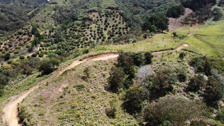 Lote en venta en La Milagrosa, La Ceja, 24400 m² · foto 2 de 11