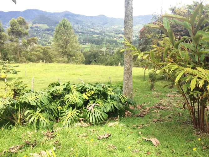 Lote en venta en El Capiro, Rionegro, 30000 m² · foto 7 de 14