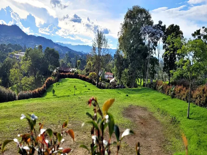 Lote en venta en El Carmen De Viboral, El Carmen de Viboral, 3285 m² · foto 3 de 14