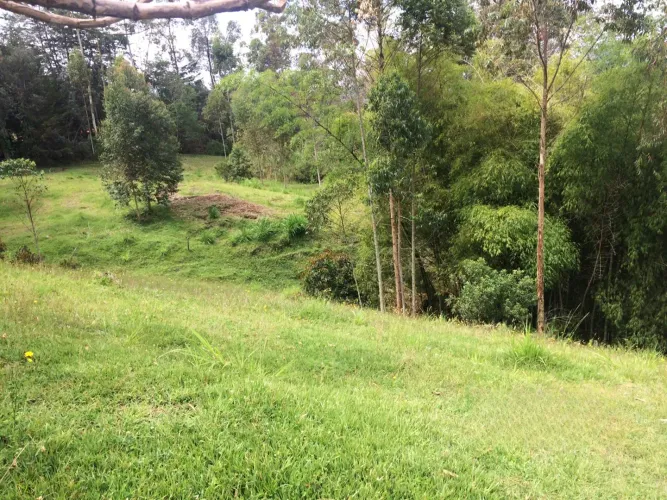 Lote en venta en El Capiro, Rionegro, 30000 m² · foto 10 de 14