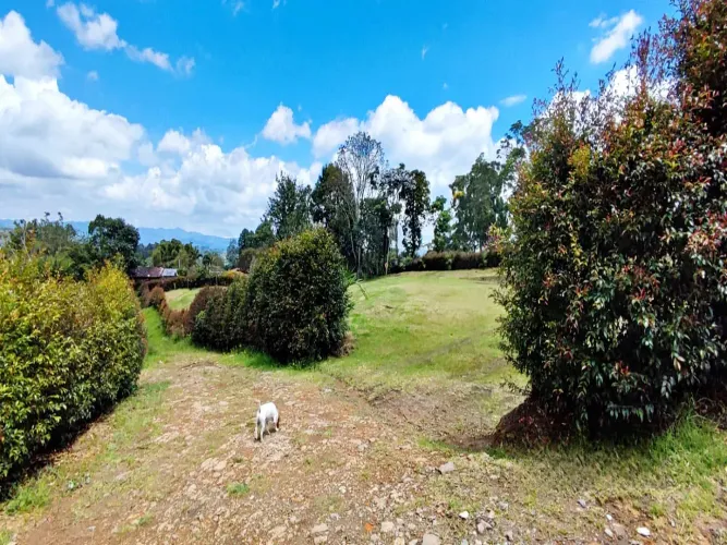 Lote en venta en El Carmen De Viboral, El Carmen de Viboral, 3285 m² · foto 6 de 14