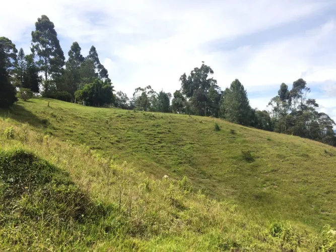 Lote en venta en El Capiro, Rionegro, 30000 m² · foto 11 de 14