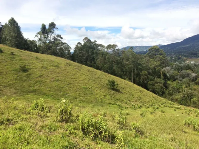 Lote en venta en El Capiro, Rionegro, 30000 m² · foto 12 de 14