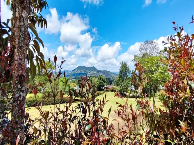 Lote en venta en El Carmen De Viboral, El Carmen de Viboral, 3285 m² · foto 8 de 14