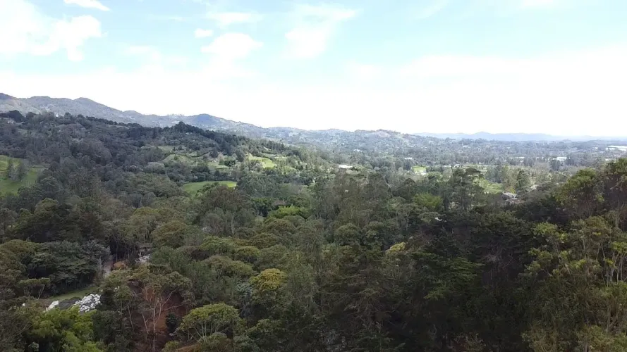 Lote en venta en Guayabito, Rionegro, 5200 m² · foto 5 de 24