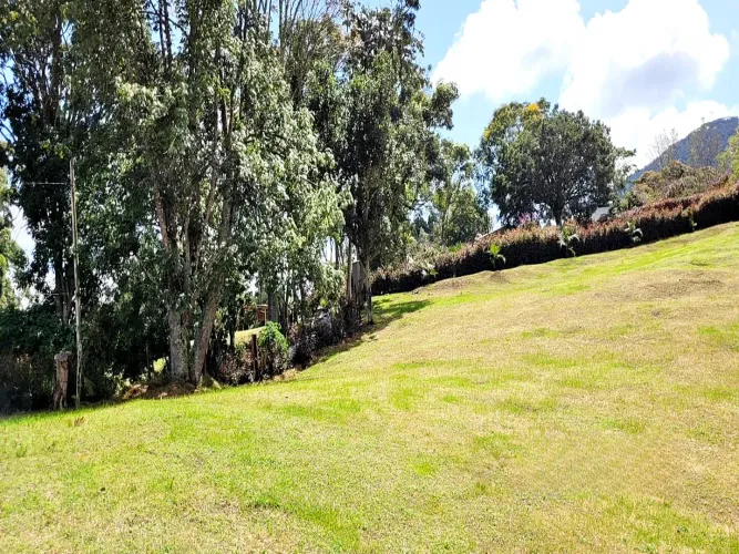Lote en venta en El Carmen De Viboral, El Carmen de Viboral, 3285 m² · foto 9 de 14