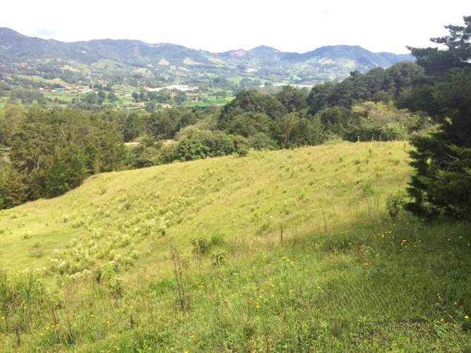 Lote en venta en El Capiro, Rionegro, 30000 m² · foto 14 de 14