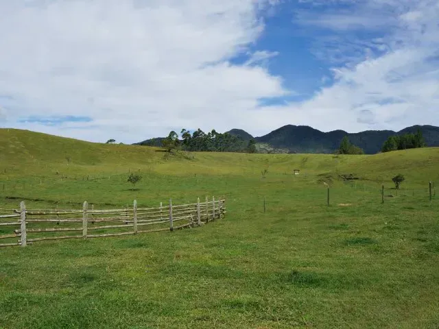 Lote en venta en Guamito, El Carmen de Viboral · foto 3 de 24