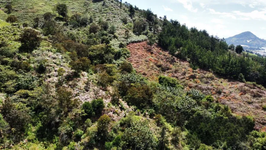 Lote en venta en La Milagrosa, La Ceja, 24400 m² · foto 11 de 11