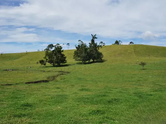 Lote en venta en Guamito, El Carmen de Viboral · foto 5 de 24
