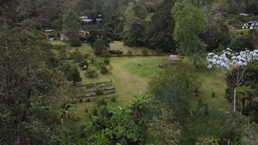 Lote en venta en Guayabito, Rionegro, 5200 m² · foto 8 de 24