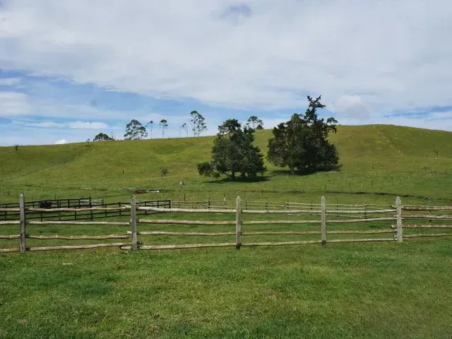 Lote en venta en Guamito, El Carmen de Viboral · foto 6 de 24