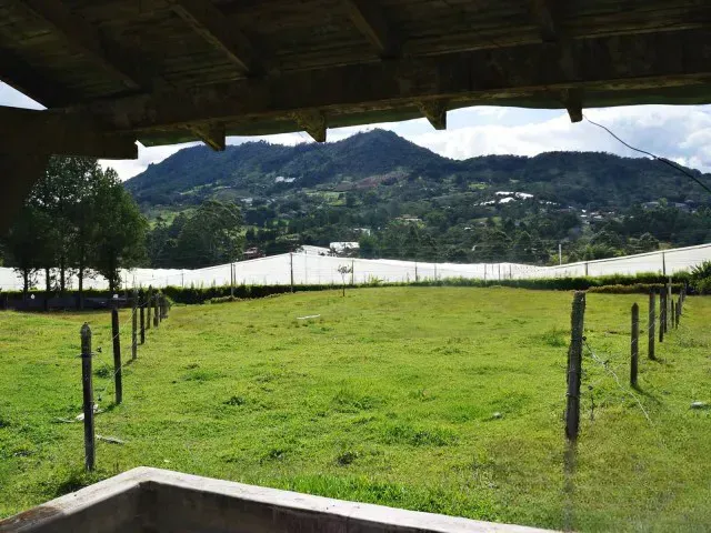Lote en venta en Guamito, El Carmen de Viboral · foto 7 de 24