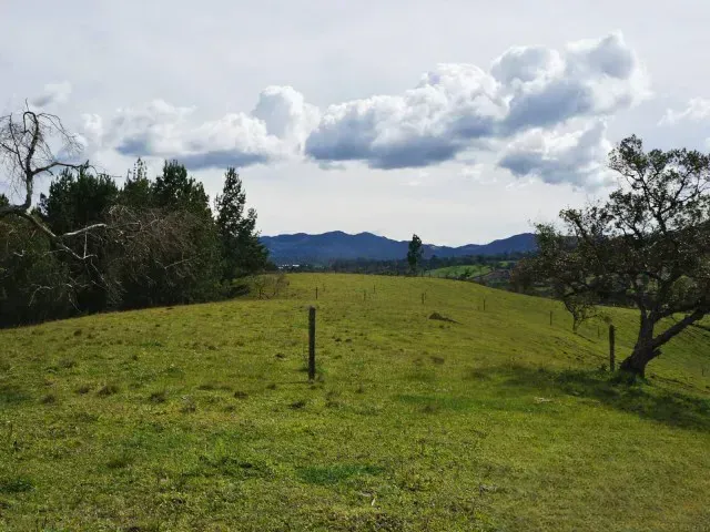Lote en venta en Guamito, El Carmen de Viboral · foto 8 de 24