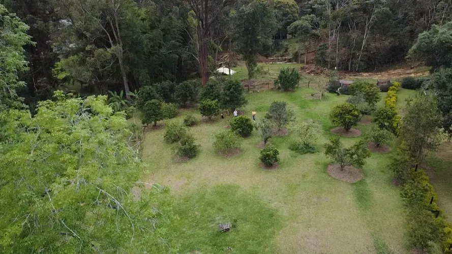 Lote en venta en Guayabito, Rionegro, 5200 m² · foto 10 de 24