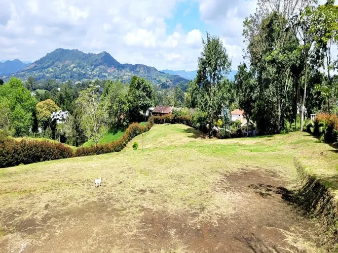 Lote en venta en El Carmen De Viboral, El Carmen de Viboral, 3285 m² · foto 13 de 14