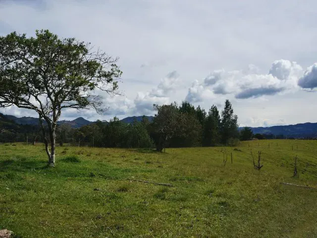 Lote en venta en Guamito, El Carmen de Viboral · foto 9 de 24