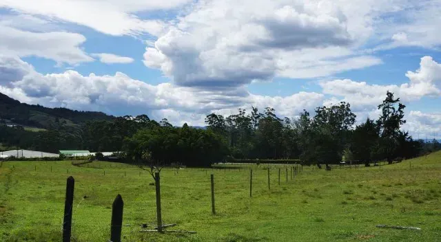 Lote en venta en Guamito, El Carmen de Viboral · foto 10 de 24