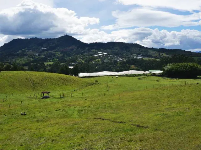 Lote en venta en Guamito, El Carmen de Viboral · foto 12 de 24