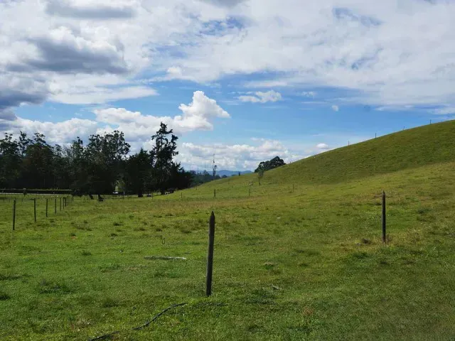 Lote en venta en Guamito, El Carmen de Viboral · foto 15 de 24
