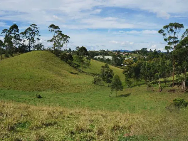 Lote en venta en Guamito, El Carmen de Viboral · foto 17 de 24