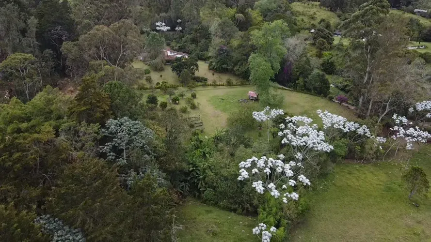 Lote en venta en Guayabito, Rionegro, 5200 m² · foto 17 de 24