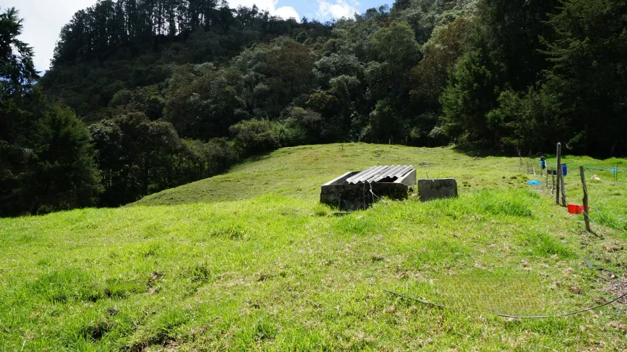 Lote en venta en Pontezuela, Rionegro, 36300 m² · foto 8 de 18