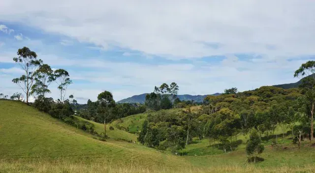 Lote en venta en Guamito, El Carmen de Viboral · foto 19 de 24