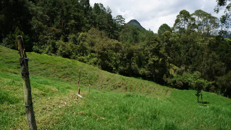 Lote en venta en Pontezuela, Rionegro, 36300 m² · foto 9 de 18