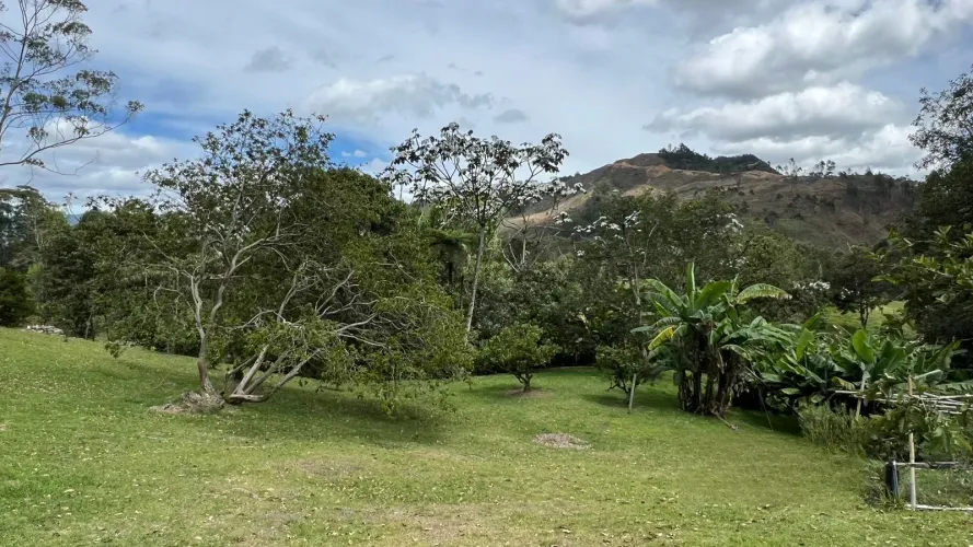 Lote en venta en Guayabito, Rionegro, 5200 m² · foto 19 de 24