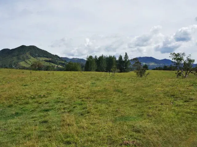 Lote en venta en Guamito, El Carmen de Viboral · foto 21 de 24