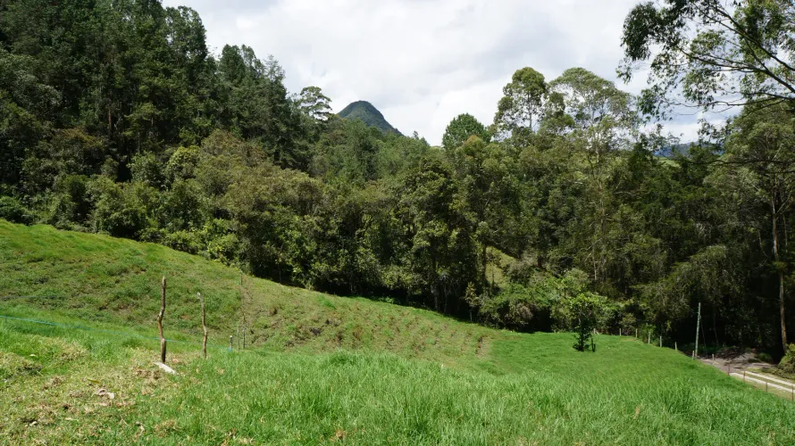 Lote en venta en Pontezuela, Rionegro, 36300 m² · foto 10 de 18