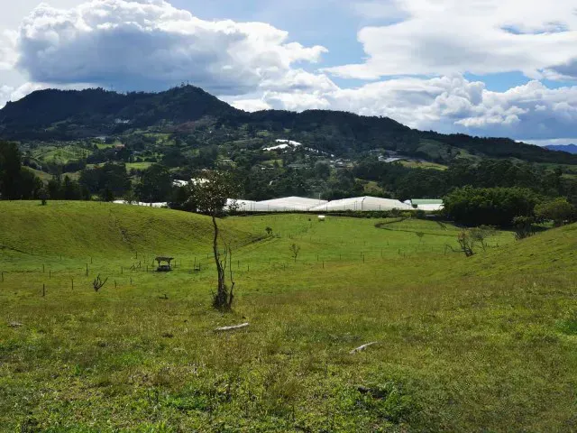 Lote en venta en Guamito, El Carmen de Viboral · foto 23 de 24