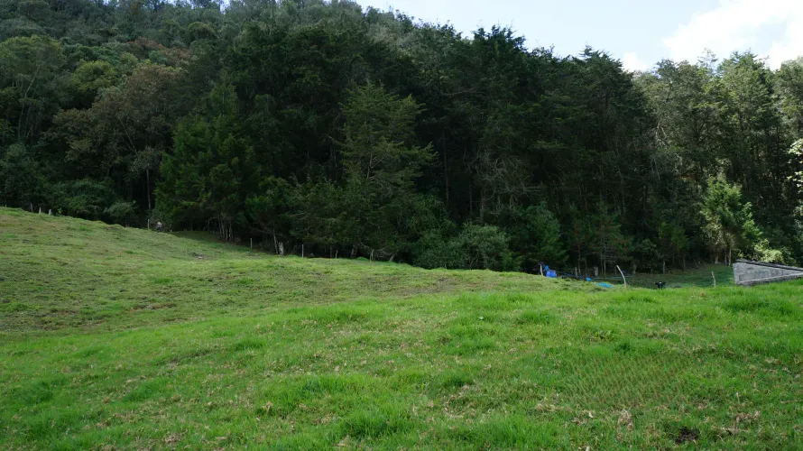 Lote en venta en Pontezuela, Rionegro, 36300 m² · foto 11 de 18