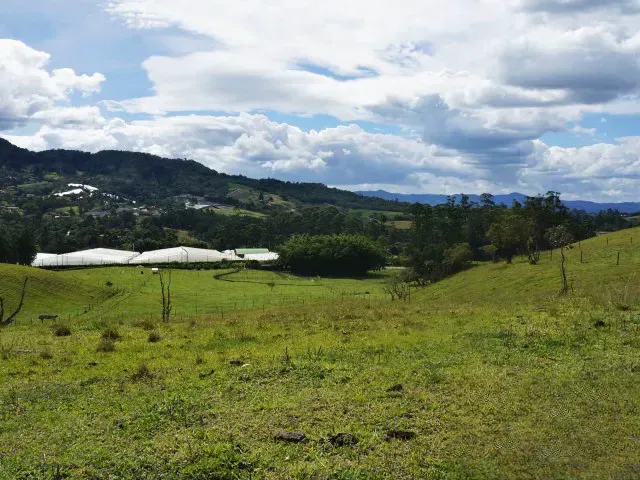Lote en venta en Guamito, El Carmen de Viboral · foto 24 de 24