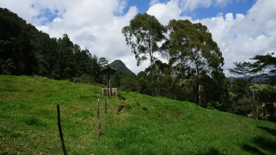 Lote en venta en Pontezuela, Rionegro, 36300 m² · foto 12 de 18
