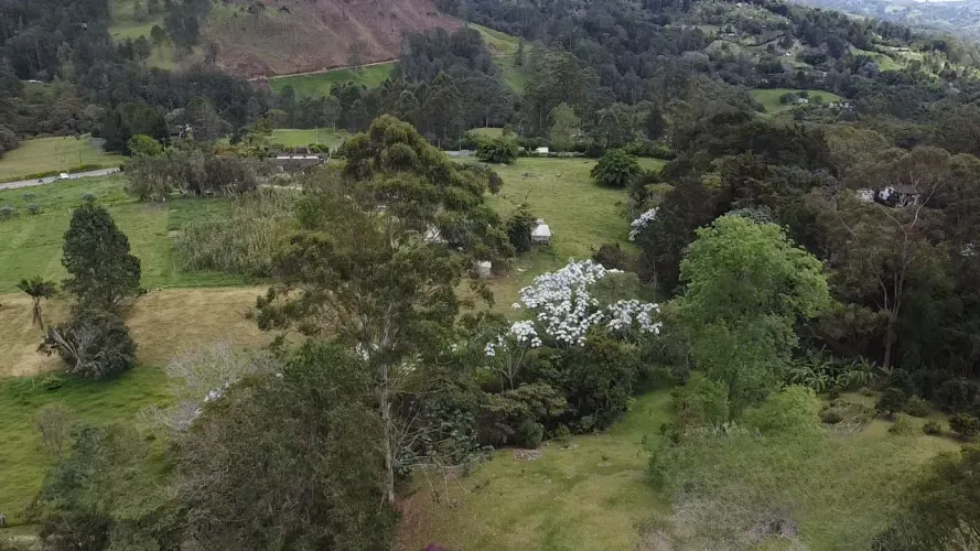 Lote en venta en Guayabito, Rionegro, 5200 m² · foto 22 de 24