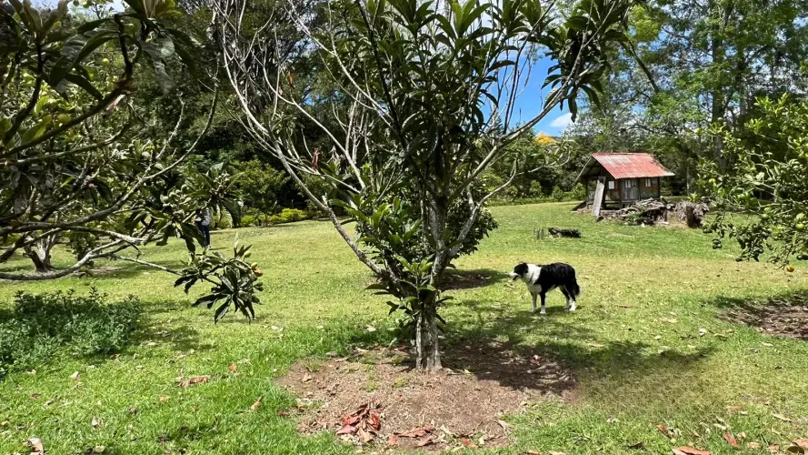Lote en venta en Guayabito, Rionegro, 5200 m² · foto 24 de 24